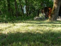 Un petit tour à la cabane de lilas !