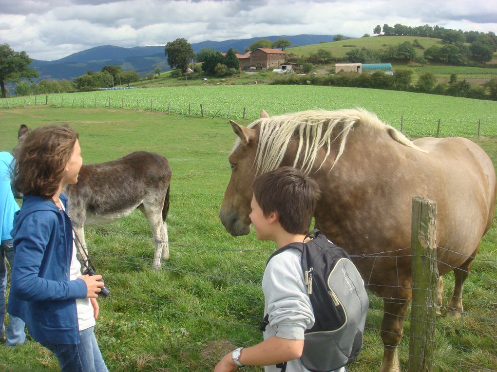Visite de la ferme de la Jalabertière à Chavanne exploitée par M. et Mme BERLIER
