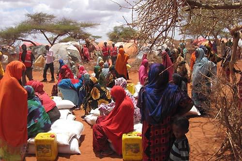 La Somalie et le Sud-Soudan touchés par la crise alimentaire 