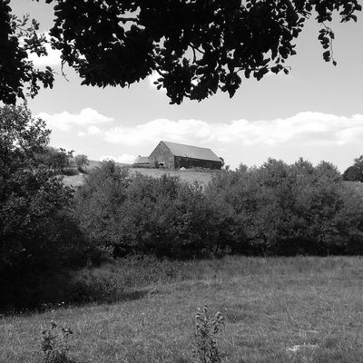 Carte postale...