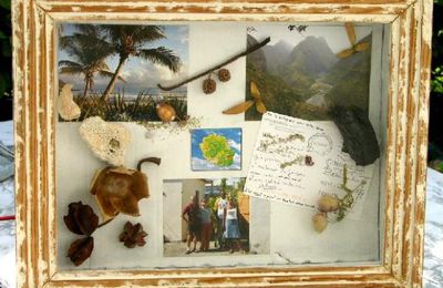 vitrine souvenirs d'un voyage à la Réunion
