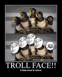 Les Troll Face