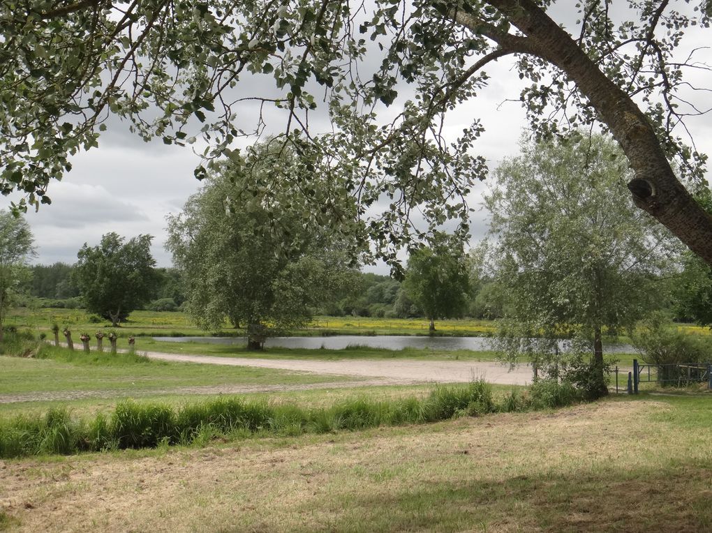 Fouilles de l'épave d'Epagnette par Eric Rieth.
Visite avec le CIRAS le 12 juin 2013