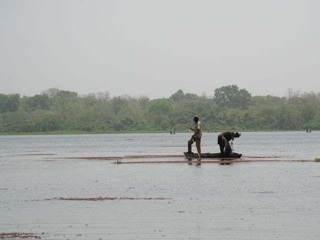 mare aux hippopotames dans la forêt au cœur de la réserve mondiale de Bala à 66 kilomètres au Nord-Ouest de Bobo-Dioulasso et à 25 Kilomètres du chef de lieu du département de Satiri