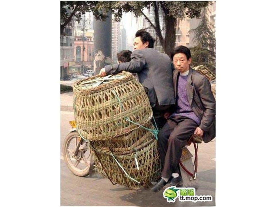 Divers - Mais comment font-ils ?