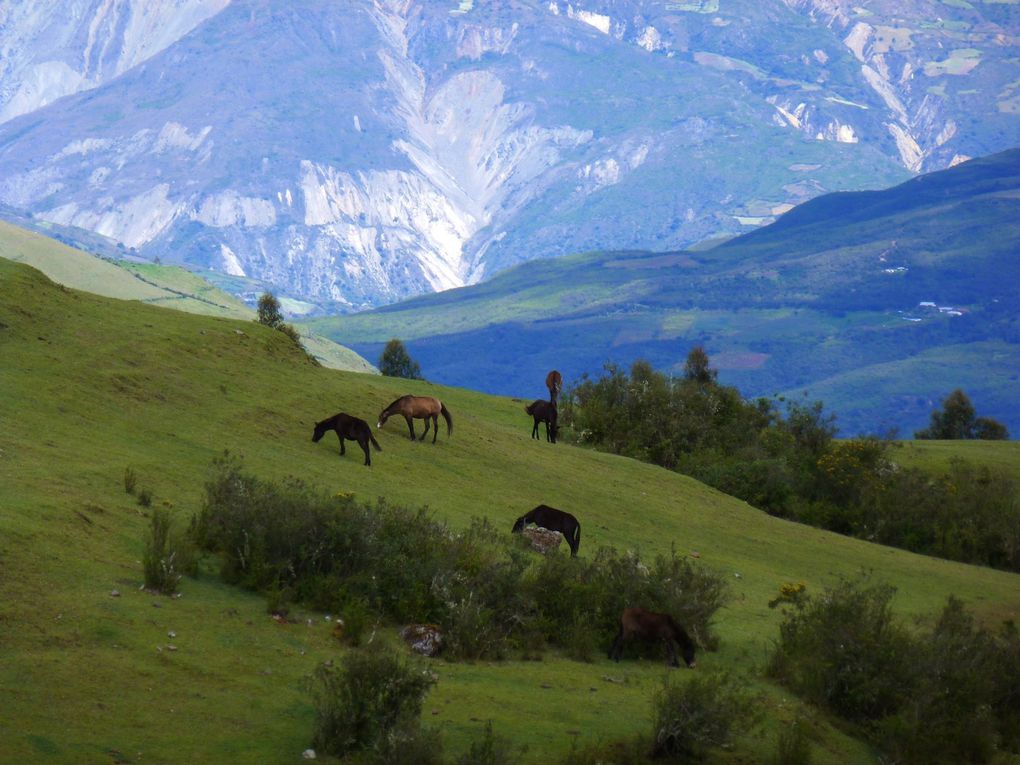 Découvrez l'album de mon "avant-dernier pays". Comme vous pourrez le voir, le Pérou est un pays riche en couleurs, en architecture, en sites incas incroyables etc... Enjoy!!