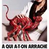 pub spa chat: publicité chocante