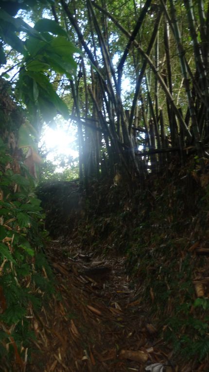 balade sur le volcan