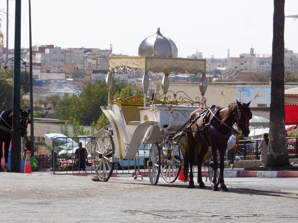 13.10 - L'EXCEPTIONNEL EST A VENIR : MEKNES