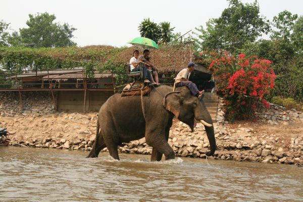 Album - Thaïlande (2)