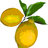 El limón aplicaciones y usos