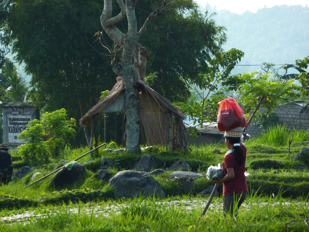 Sejour a Bali, des temples magnifiques, du vert a en perdre la tete, et des rencontres...