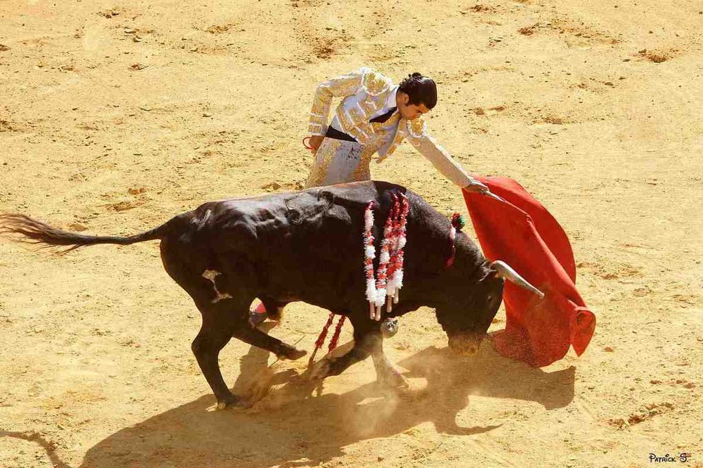 DAX. TOROS y SALSA – 2