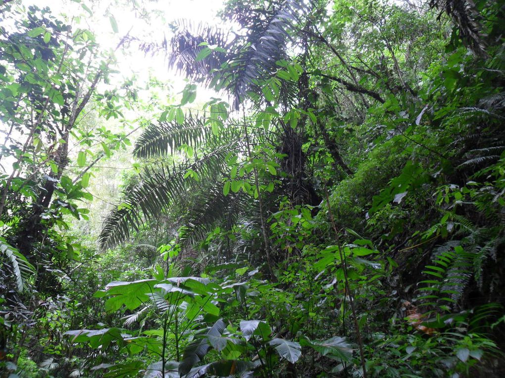 Bosque de Pacoche (28 septembre)