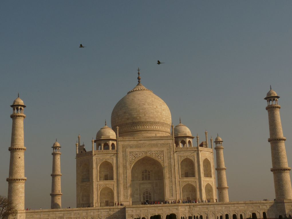 Album - AGRA-et-le-TAJ-MAHAL