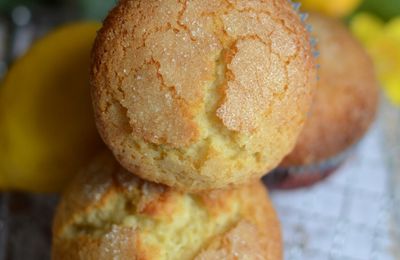 Madeleines espagnoles au citron et au skyr