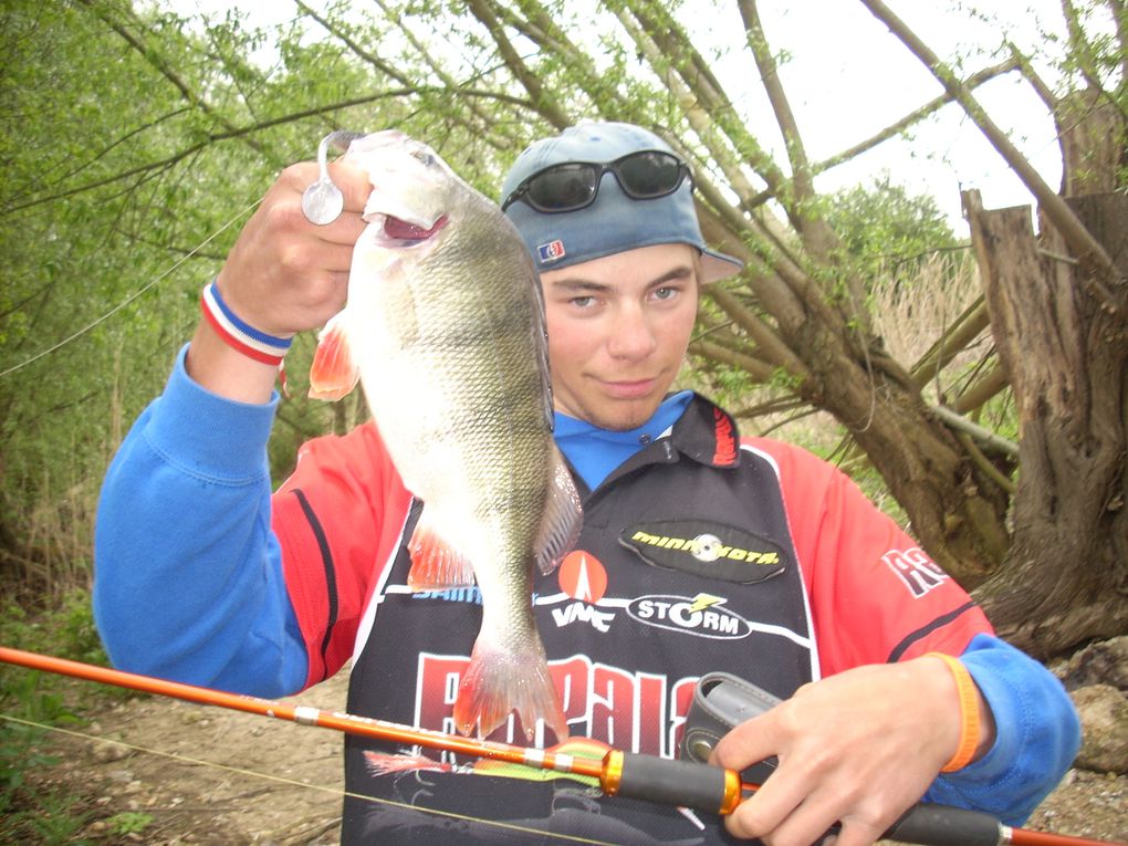 2012 est déja commencer et les fish ne tardent pas à montrer leurs nageoires