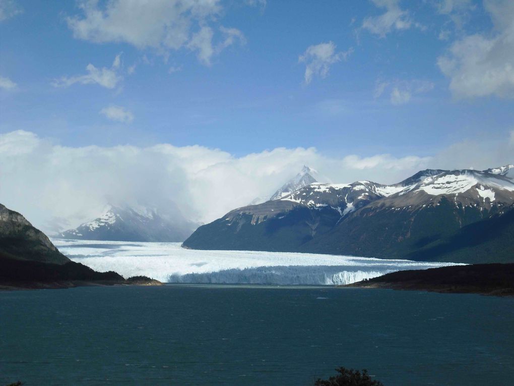 Paysages et flore d'Argentine: source d'inspiration artistique