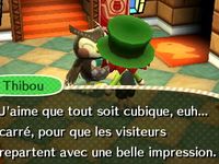 Newsletter (32) :