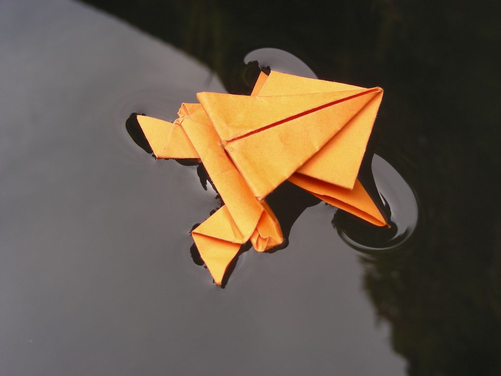 Série de photos des origamis fabriqués par Christian Olliet dans le cadre champêtre du Mas d'Agenais
Photos de Sébastien Faget