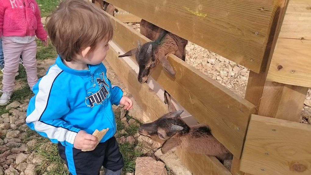 Visite à la Ferme de l'Hort