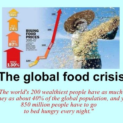 La crise alimentaire mondiale s'annonce alors que des phénomènes météorologiques extrêmes dévastent les cultures et les champs du monde entier 
