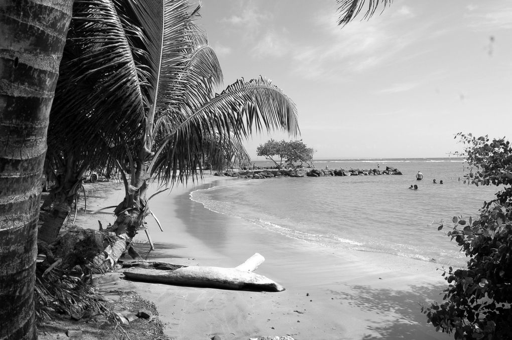 Plage des Roseaux en Basse Terre