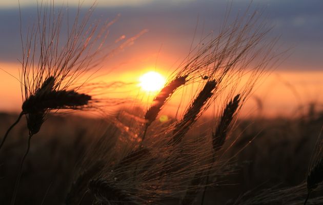 un soir d'été