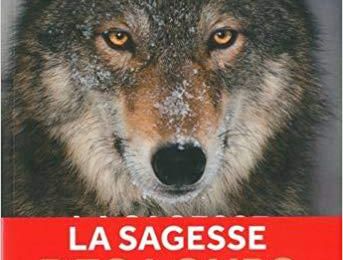 Parlons de "La Sagesse des Loups" de Elli H. Radinger... 