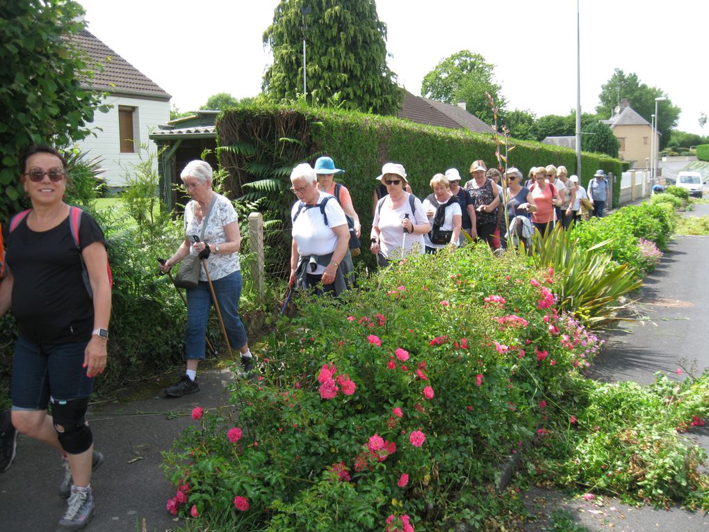 Allez, on marche ! Non, on a marché !