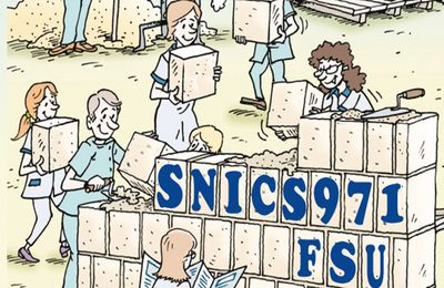 SNICS FSU 971