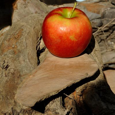 3ème fête de la pomme et du coing à Corneilla la Rivière en 30 photos