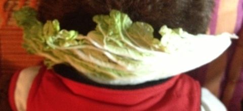 Une feuille de chou chinois contre l'arthrose