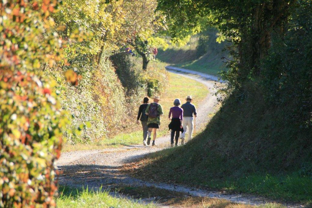 Quelques adhérents nous proposent des balades:avec Jean-Michel Gaudron, naturaliste, des balades découverte, avec Laurent Huchot des marches plus sportives, Christine Ducoux, Quince Graveson, Marie-Ange Dreyer, balade et patrimoine... presque tous