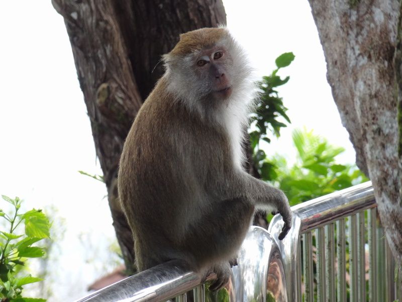 Thailande de Bangkok à la Malaisie