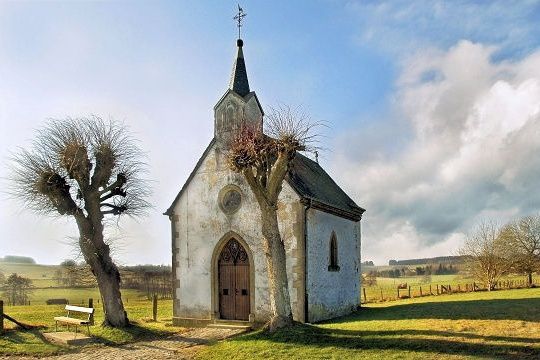 Album - LES-100-MEILLEURES-PHOTOS-2009