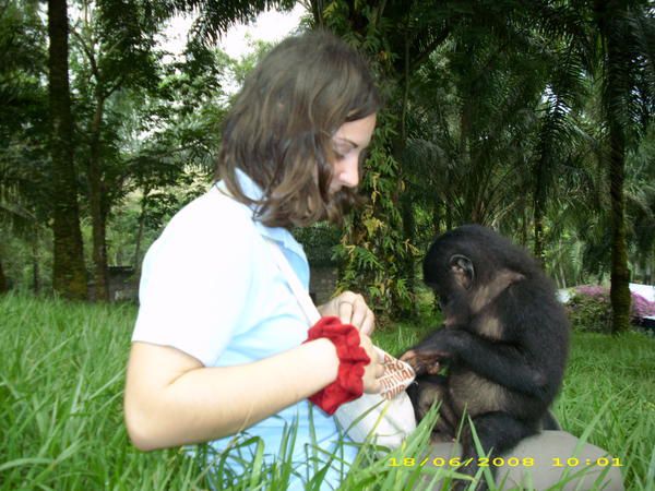 12 au 24 juin 2008, Kinshasa : une partie de la famille vient me rendre visite !