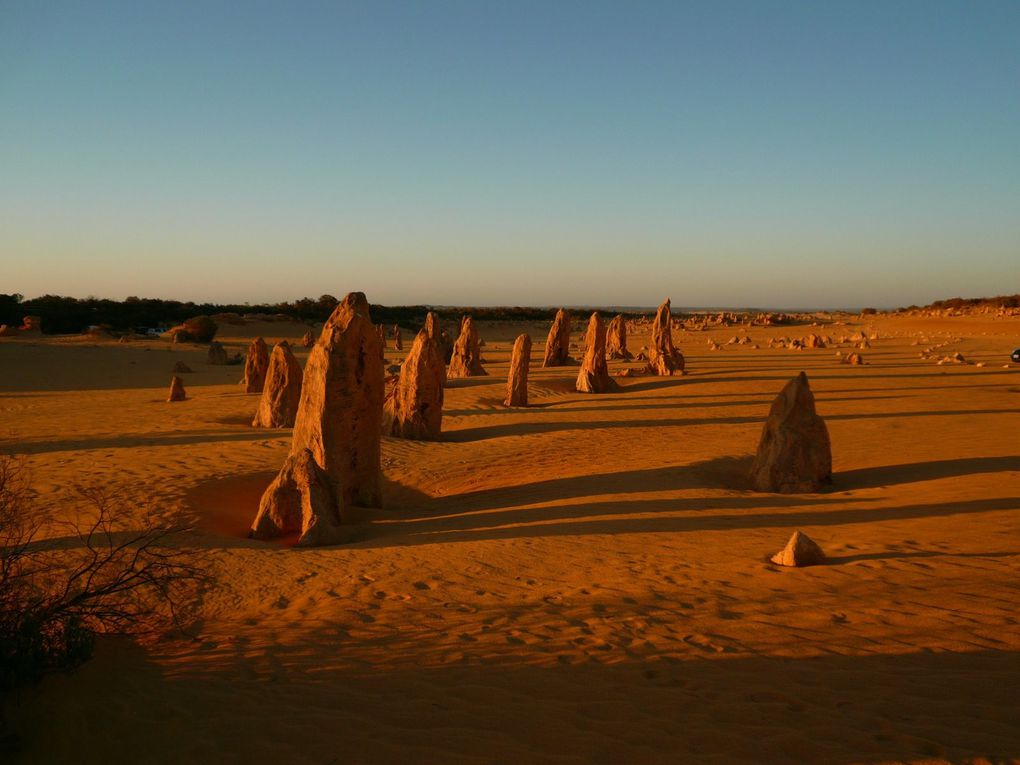 Album - Pinnacles-Nambung-National-Park