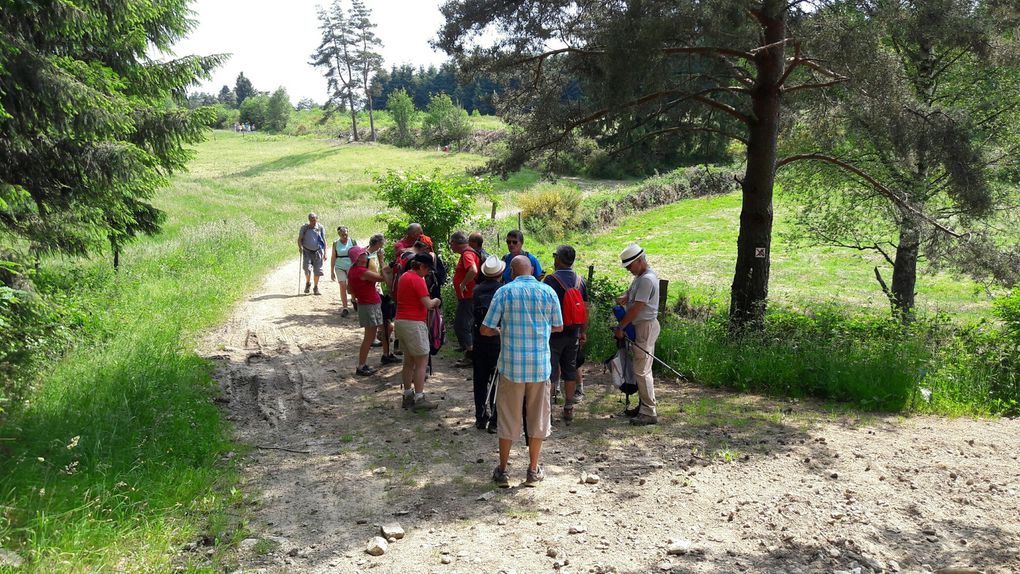 JEUDI 15 JUIN ; 1er groupe ; BRANSAC