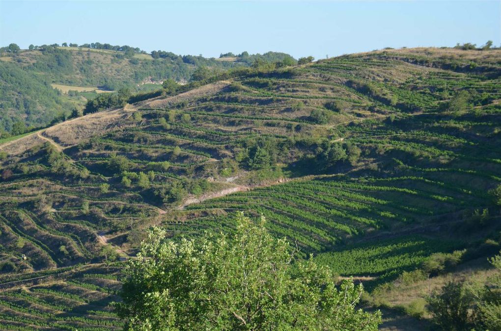 Jean-Luc MATHA, un vigneron hors du commun...