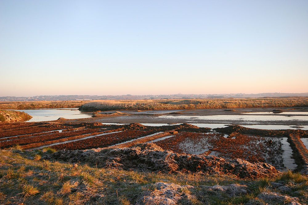 Images des marais salants de Gu&eacute;rande&nbsp;au lever du soleil