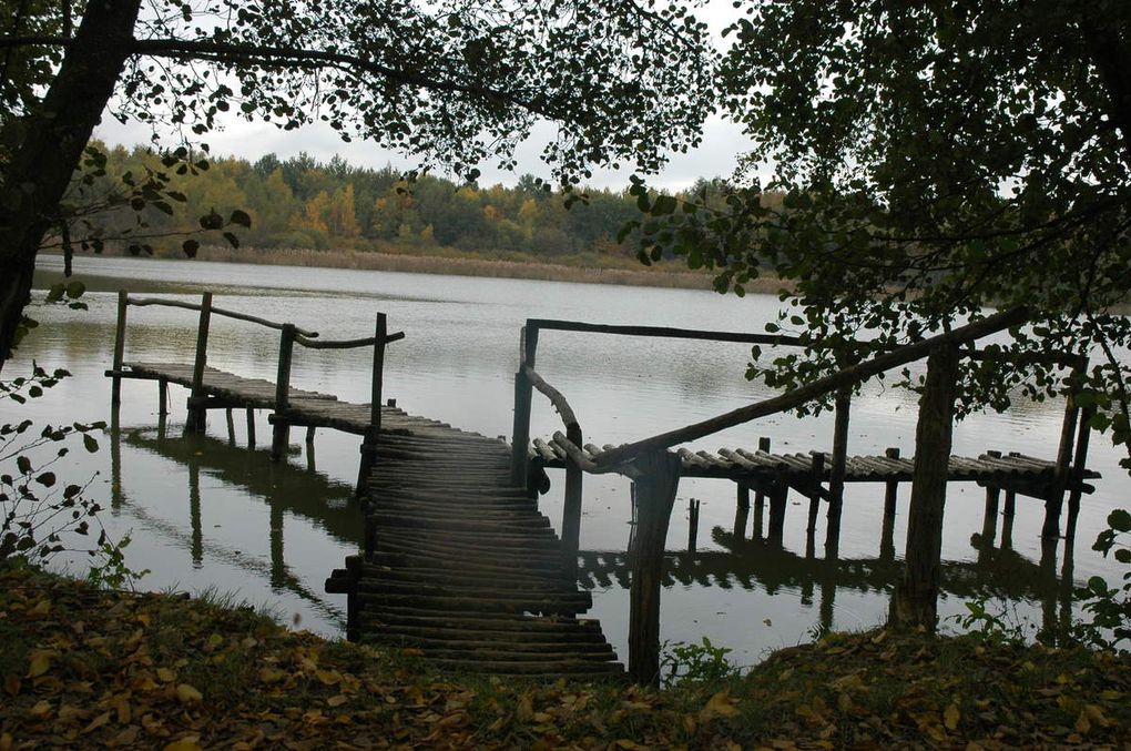 Avec ce bel automne un petit plaisir de faire des photos