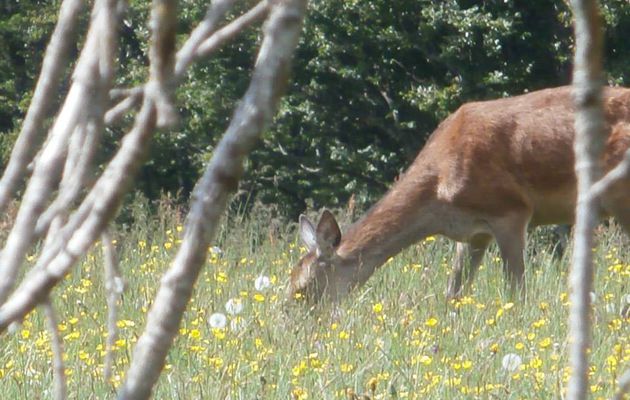 beautés de la nature