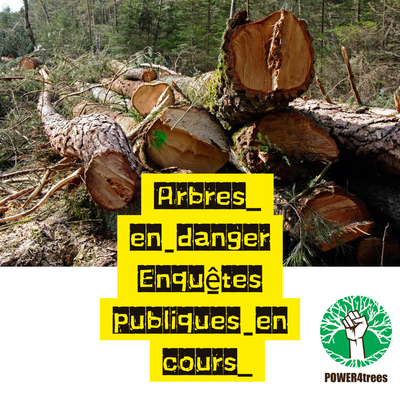 Enquêtes publiques en cours avec abattage d'arbres - 31/03/24 - 559 arbres en danger