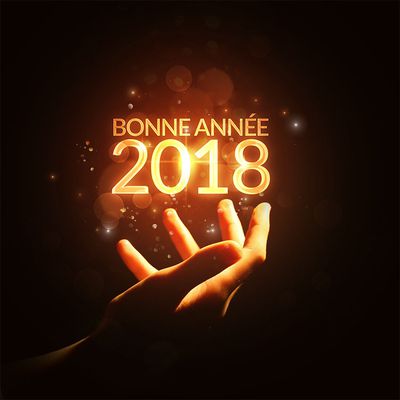 EXCELLENTE ANNEE 2018 !!