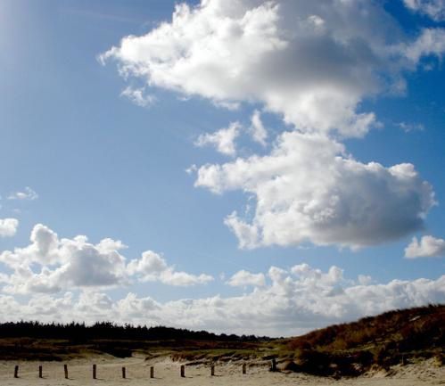 Album - Couleurs de dune...