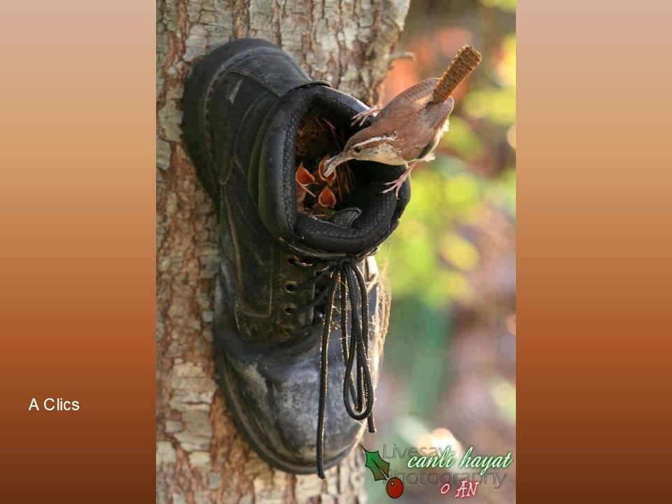 Divers - Ne jetez plus rien - 1