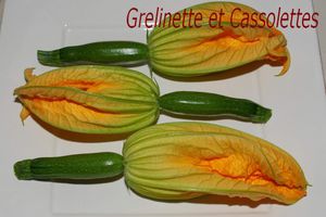 Fleurs de Courgettes Farcies : Assiette Végé