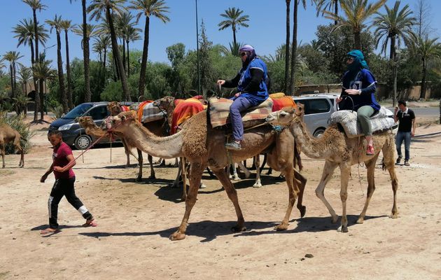 Excursion Marrakech