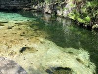 Sur le chemin du retour : Coba